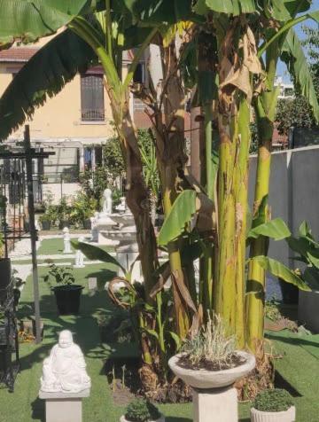 Chambre Solo Duo 20 Min Paris دْراسي المظهر الخارجي الصورة